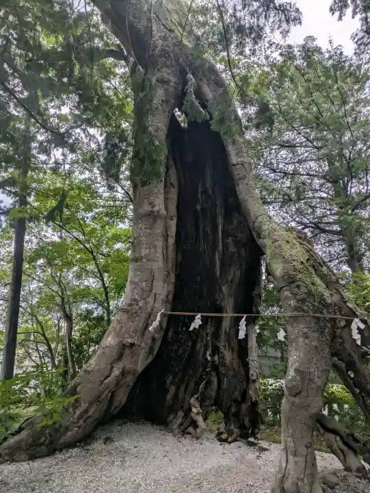 上野総社神社(群馬県)