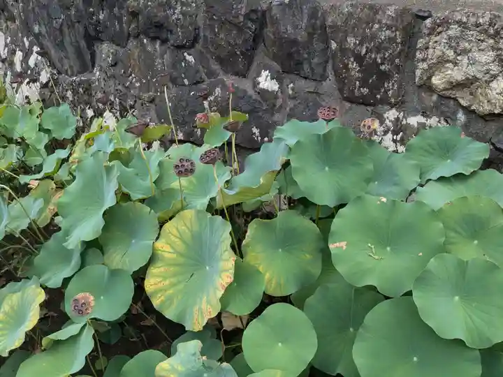 来応寺(滋賀県)