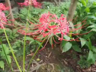 宝戒寺(神奈川県)