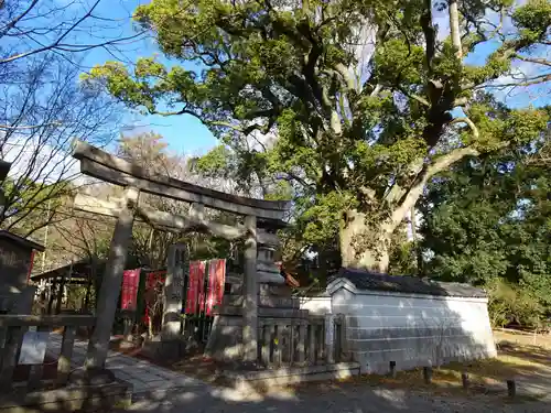 宗像神社の鳥居