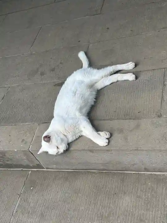 愛宕神社(東京都)
