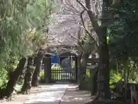 極楽寺(霊鷲山感應院極楽律寺)の庭園