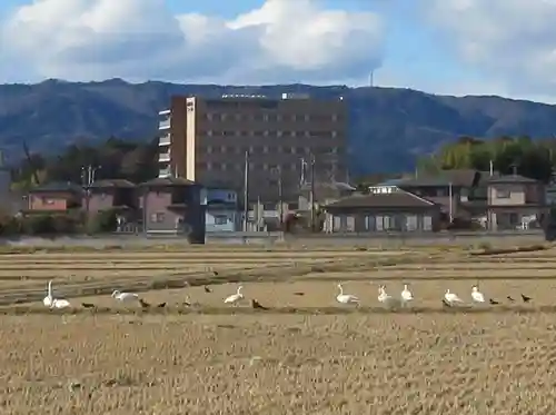 小泉八坂神社(福島県)