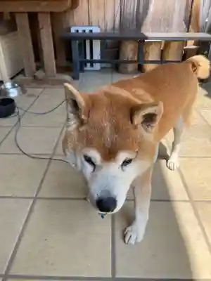 原江寺(山口県)