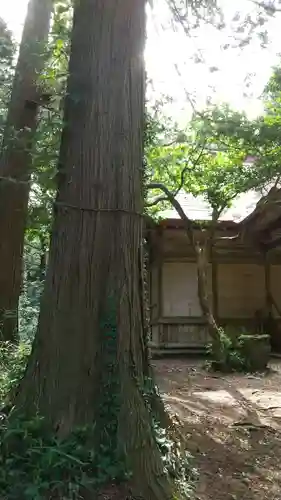 鹿島神社のその他建物
