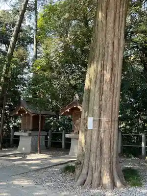 越ヶ谷久伊豆神社(埼玉県)
