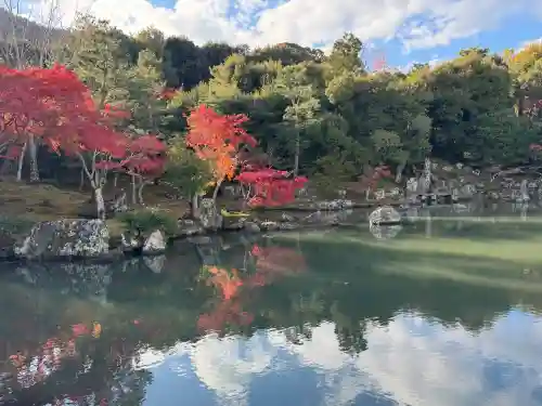 天龍寺の{uncategorized: "未分類", other: "その他", undefined: "問題あり", building: "その他建物", grave: "お墓", sacred_gate: "鳥居", guardian: "狛犬", statue: "像", buddha: "仏像", history: "歴史", nature: "自然", garden: "庭園", animal: "動物", pagoda: "塔", temizu: "手水舎", mountain_gate: "山門・神門", sanctuary: "本殿・本堂", subordinate: "末社・摂社", art: "芸術", scenery: "景色", jizo: "地蔵", ema: "絵馬", goshuin: "御朱印", omikuji: "おみくじ", items: "授与品その他", amulet: "お守り", goshuincho: "御朱印帳", eats: "食事", festival: "お祭り", votive_dance: "神楽", shichigosan: "七五三参", wedding: "結婚式", experience: "体験その他", initially: "初詣", around: "周辺", anti_infection: "感染症対策"}