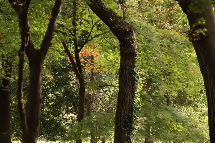 平林寺(埼玉県)