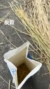 大鏑神社(福島県)(2022年11月16日(水) 08時41分42秒投稿)