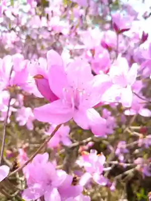 牛窓神社の自然