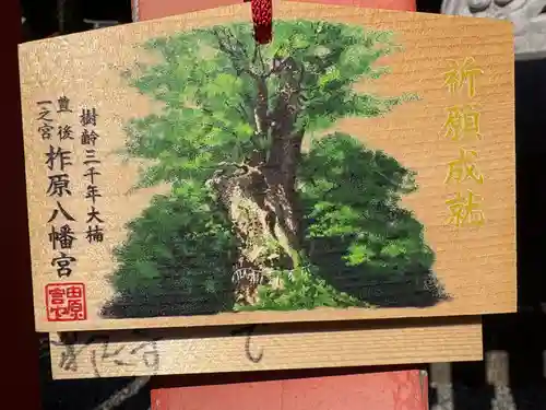 柞原八幡宮(大分県)