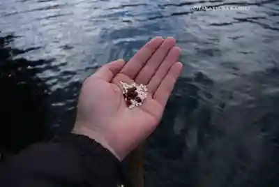 九頭龍神社本宮(神奈川県)