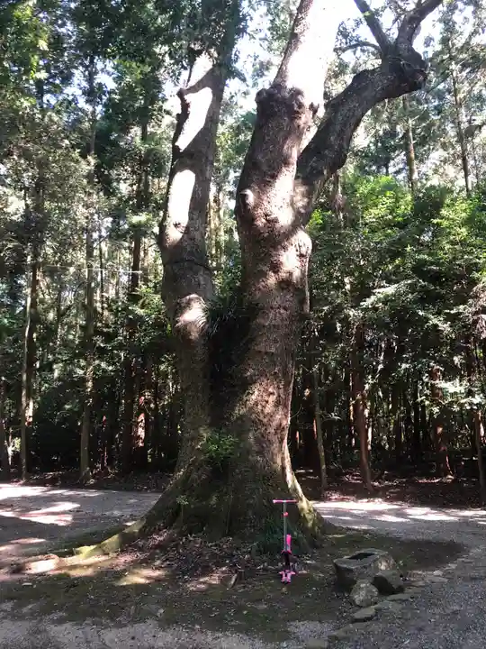 神麻続機殿神社(皇大神宮所管社)の自然