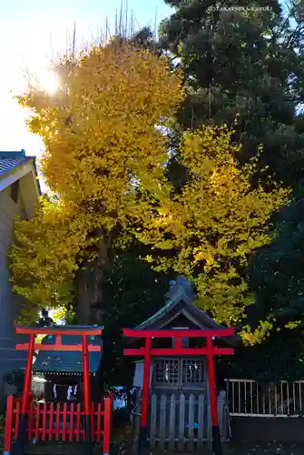 生麦杉山神社(神奈川県)