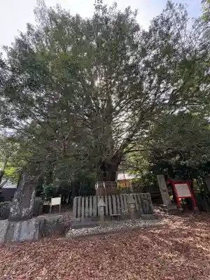 熊野速玉大社(和歌山県)