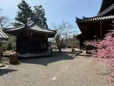 粉河寺の{uncategorized: "未分類", other: "その他", undefined: "問題あり", building: "その他建物", grave: "お墓", sacred_gate: "鳥居", guardian: "狛犬", statue: "像", buddha: "仏像", history: "歴史", nature: "自然", garden: "庭園", animal: "動物", pagoda: "塔", temizu: "手水舎", mountain_gate: "山門・神門", sanctuary: "本殿・本堂", subordinate: "末社・摂社", art: "芸術", scenery: "景色", jizo: "地蔵", ema: "絵馬", goshuin: "御朱印", omikuji: "おみくじ", items: "授与品その他", amulet: "お守り", goshuincho: "御朱印帳", eats: "食事", festival: "お祭り", votive_dance: "神楽", shichigosan: "七五三参", wedding: "結婚式", experience: "体験その他", initially: "初詣", around: "周辺", anti_infection: "感染症対策"}