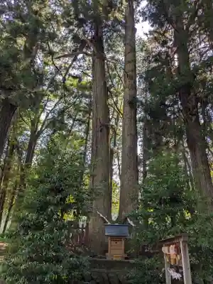 都々古別神社(八槻)(福島県)