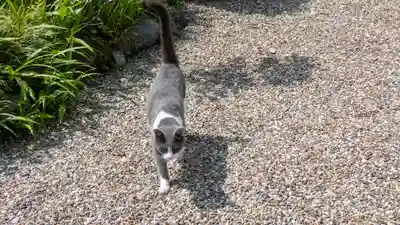 常谷寺(奈良県)