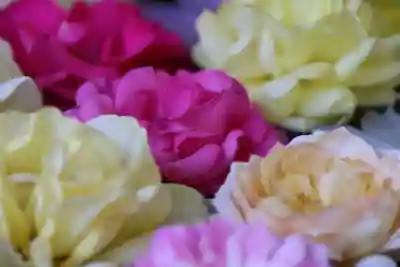 田村神社の手水舎