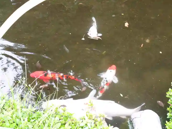 小梳神社(静岡県)