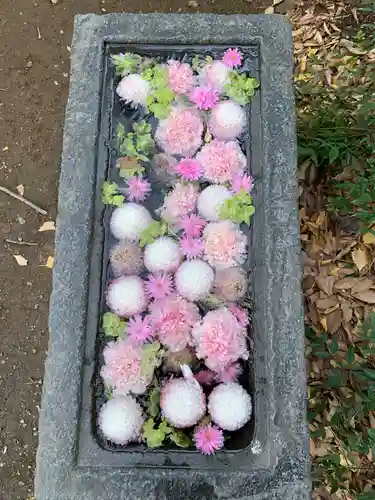 行田八幡神社の手水