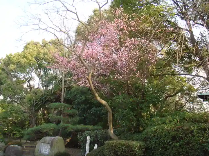 豊國神社の自然