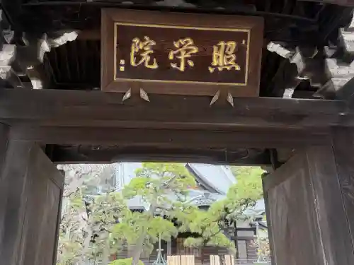 照栄院の{uncategorized: "未分類", other: "その他", undefined: "問題あり", building: "その他建物", grave: "お墓", sacred_gate: "鳥居", guardian: "狛犬", statue: "像", buddha: "仏像", history: "歴史", nature: "自然", garden: "庭園", animal: "動物", pagoda: "塔", temizu: "手水舎", mountain_gate: "山門・神門", sanctuary: "本殿・本堂", subordinate: "末社・摂社", art: "芸術", scenery: "景色", jizo: "地蔵", ema: "絵馬", goshuin: "御朱印", omikuji: "おみくじ", items: "授与品その他", amulet: "お守り", goshuincho: "御朱印帳", eats: "食事", festival: "お祭り", votive_dance: "神楽", shichigosan: "七五三参", wedding: "結婚式", experience: "体験その他", initially: "初詣", around: "周辺", anti_infection: "感染症対策"}