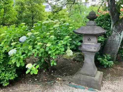 天妙国寺の{uncategorized: "未分類", other: "その他", undefined: "問題あり", building: "その他建物", grave: "お墓", sacred_gate: "鳥居", guardian: "狛犬", statue: "像", buddha: "仏像", history: "歴史", nature: "自然", garden: "庭園", animal: "動物", pagoda: "塔", temizu: "手水舎", mountain_gate: "山門・神門", sanctuary: "本殿・本堂", subordinate: "末社・摂社", art: "芸術", scenery: "景色", jizo: "地蔵", ema: "絵馬", goshuin: "御朱印", omikuji: "おみくじ", items: "授与品その他", amulet: "お守り", goshuincho: "御朱印帳", eats: "食事", festival: "お祭り", votive_dance: "神楽", shichigosan: "七五三参", wedding: "結婚式", experience: "体験その他", initially: "初詣", around: "周辺", anti_infection: "感染症対策"}