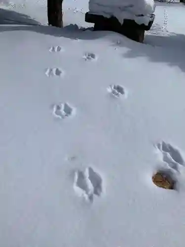 女満別神社(北海道)