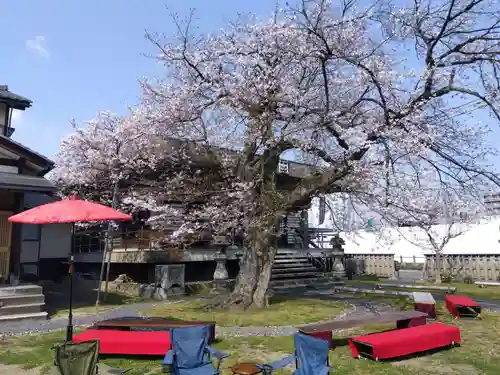 妙経寺(福井県)