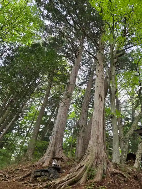 魔王天神社(山梨県)