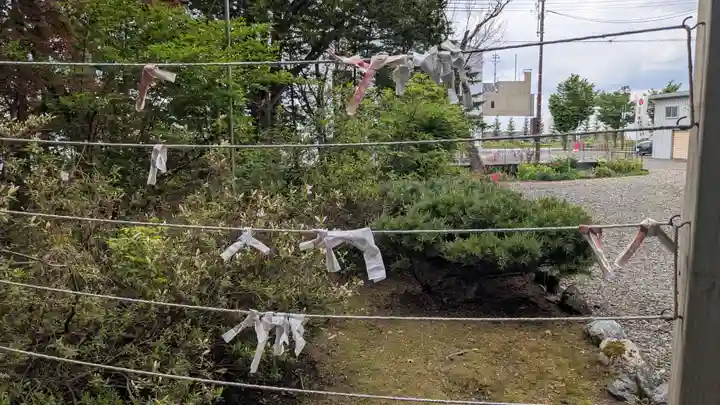 東神楽神社のおみくじ