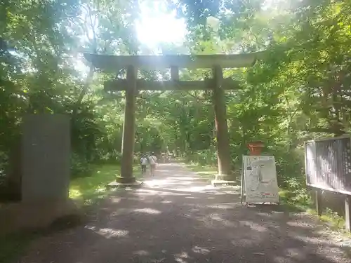 戸隠神社奥社の鳥居