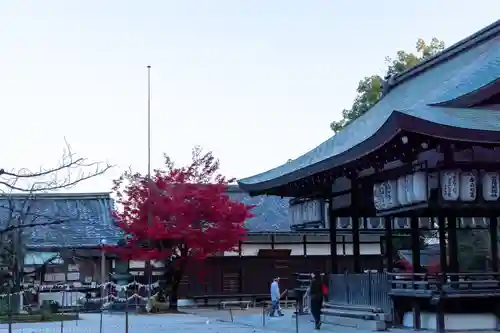 今宮神社の庭園