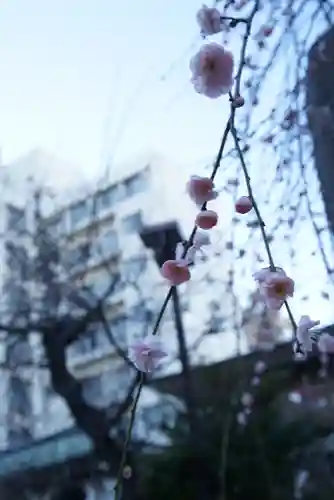 湯島天満宮(東京都)