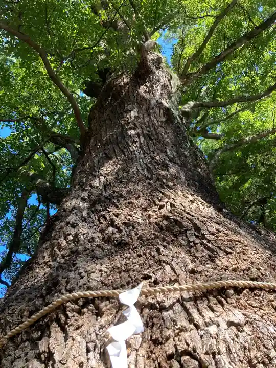 五所神社(神奈川県)