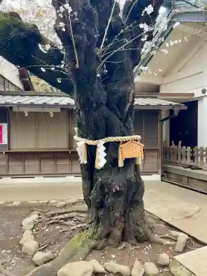 駒込天祖神社(東京都)