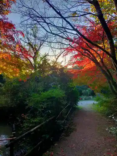 不退寺(奈良県)