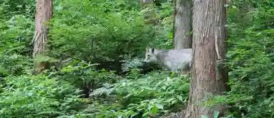 伊豆山神社 本宮(秋田県)