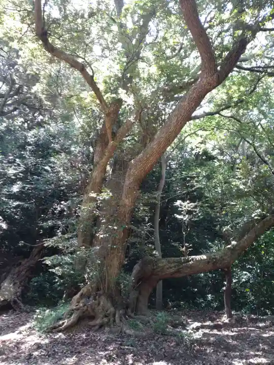 沼島八幡神社(兵庫県)