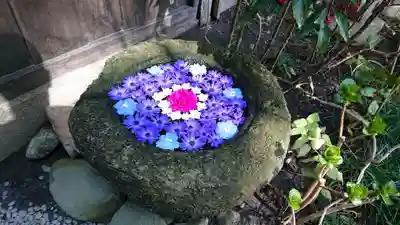 菅生神社の手水舎