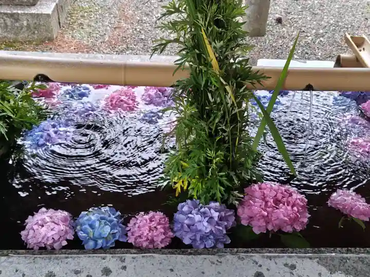 長浜八幡宮(滋賀県)