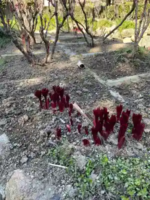 石光寺(奈良県)