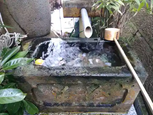 毛谷黒龍神社(福井県)