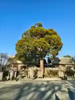 伊勢原大神宮の{uncategorized: "未分類", other: "その他", undefined: "問題あり", building: "その他建物", grave: "お墓", sacred_gate: "鳥居", guardian: "狛犬", statue: "像", buddha: "仏像", history: "歴史", nature: "自然", garden: "庭園", animal: "動物", pagoda: "塔", temizu: "手水舎", mountain_gate: "山門・神門", sanctuary: "本殿・本堂", subordinate: "末社・摂社", art: "芸術", scenery: "景色", jizo: "地蔵", ema: "絵馬", goshuin: "御朱印", omikuji: "おみくじ", items: "授与品その他", amulet: "お守り", goshuincho: "御朱印帳", eats: "食事", festival: "お祭り", votive_dance: "神楽", shichigosan: "七五三参", wedding: "結婚式", experience: "体験その他", initially: "初詣", around: "周辺", anti_infection: "感染症対策"}