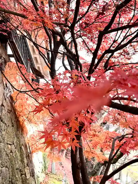 眞田神社の自然