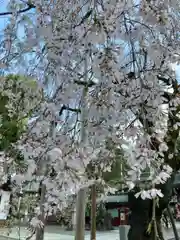 大國魂神社(東京都)