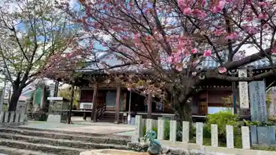 櫻本坊の本殿・本堂