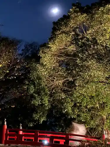 武蔵一宮氷川神社(埼玉県)