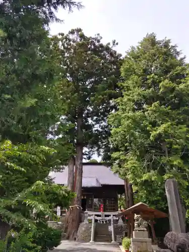 高司神社〜むすびの神の鎮まる社〜の自然